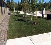 lawns, plantings, edgings, landscaping, yard mowing