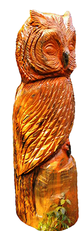 owl chainsaw carving by hand